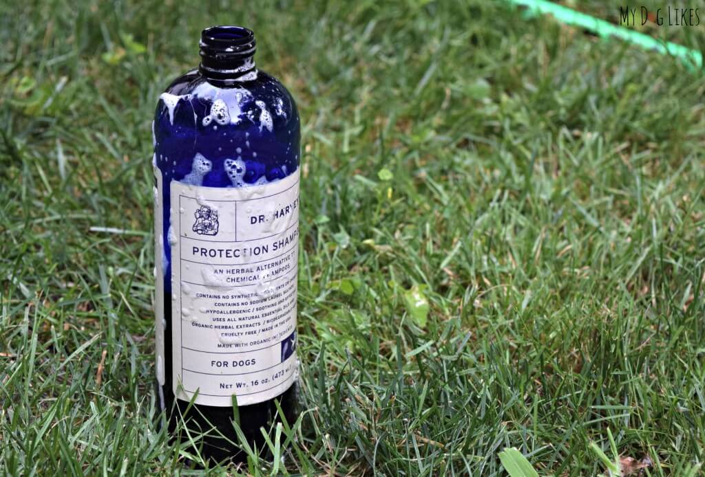 Dr. Harvey's Flea Protection Shampoo is a great all natural way to protect your dogs from unwanted pests.