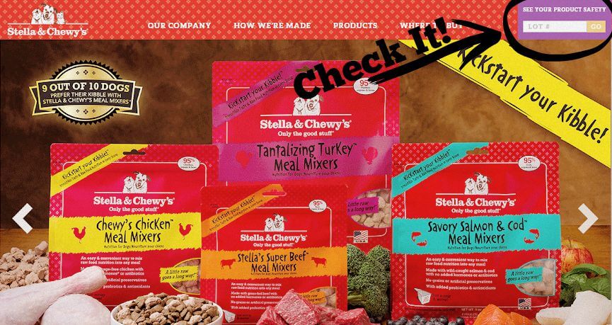 Concerned about raw dog food safety? Stella and Chewy's tests every lot of their product and you can visit their site to see the results for yourself!
