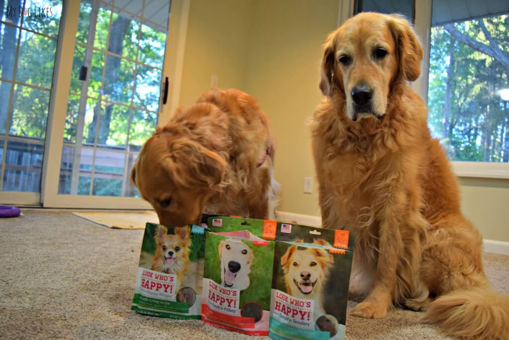 Charlie can't wait to get a taste of these Look Who's Happy dog treats and decides to help himself!