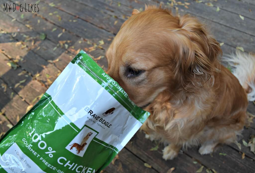 Charlie helping himself to some treats!