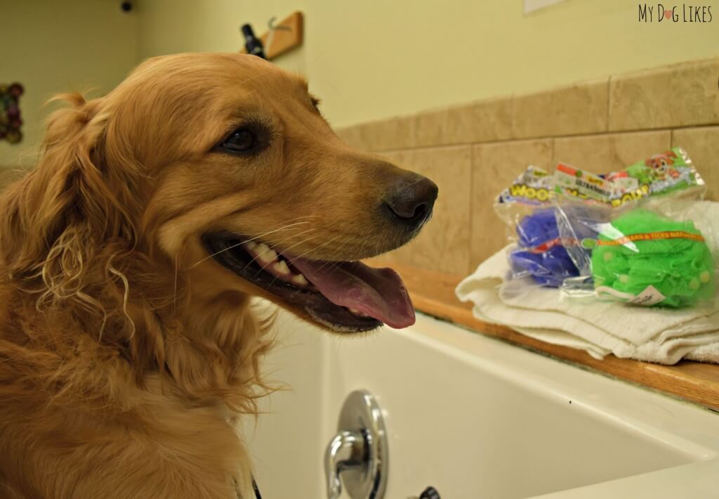 Getting ready to try Absorbine's Bath Loofah for Dogs