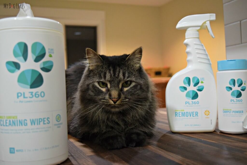 Max posing with the PL360 line of pet safe house cleaners