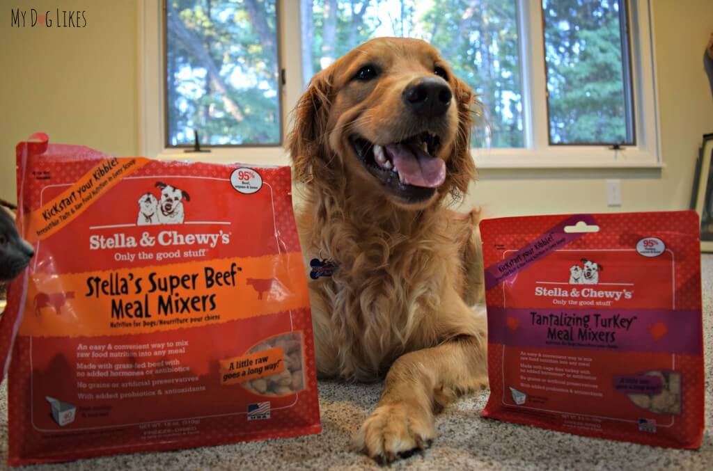 Visit MyDogLikes for our Stella and Chewy's Meal Mixers Review