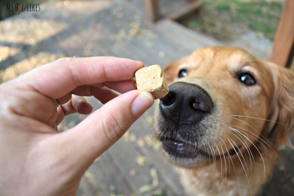 Brave Beagle's treats are lightweight and low calorie - perfect for training sessions!