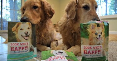 Golden Retrievers Harley and Charlie are excited to sample these All Natural Dog Treats from Look Who's Happy!