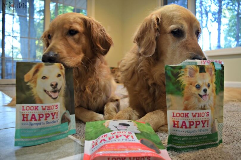 Golden Retrievers Harley and Charlie are excited to sample these All Natural Dog Treats from Look Who's Happy!