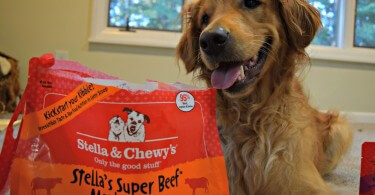 Stella & Chewy's meal mixers are a convenient way to incorporate freeze dried raw dog food into your dogs current diet.