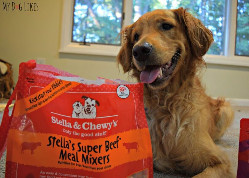 Stella & Chewy's meal mixers are a convenient way to incorporate freeze dried raw dog food into your dogs current diet.