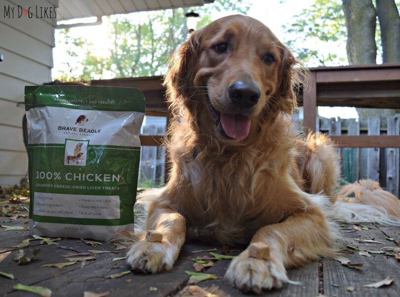 MyDogLikes reviews Brave Beagle's Chicken Liver Dog Treats