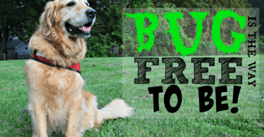 MyDogLikes reviews Dr. Harvey's line of Natural Bug Repellent products for dogs!
