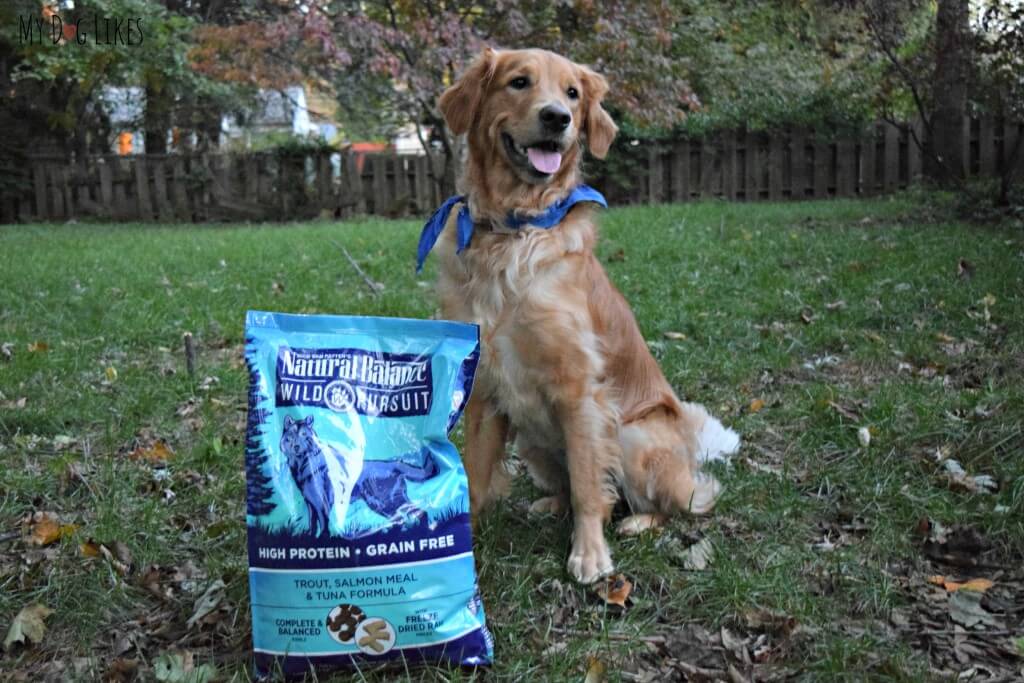 Wild Pursuit dog food is designed to mimic a dogs ancestral diet - high protein and grain free.
