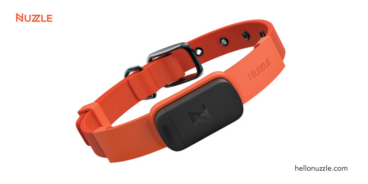 The Nuzzle Dog Tracking System pairs this collar with a smartphone app