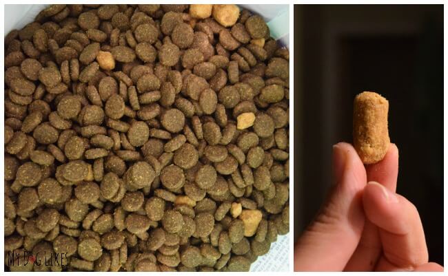 Taking a closer look at the Freeze Dried Dog Food pieces in Natural Balance Wild Pursuit