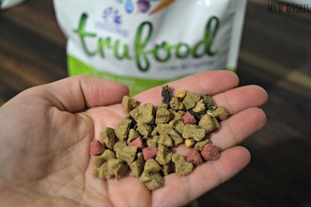 Some dogs may actually need to be hand fed in order for them to get the calories they need.