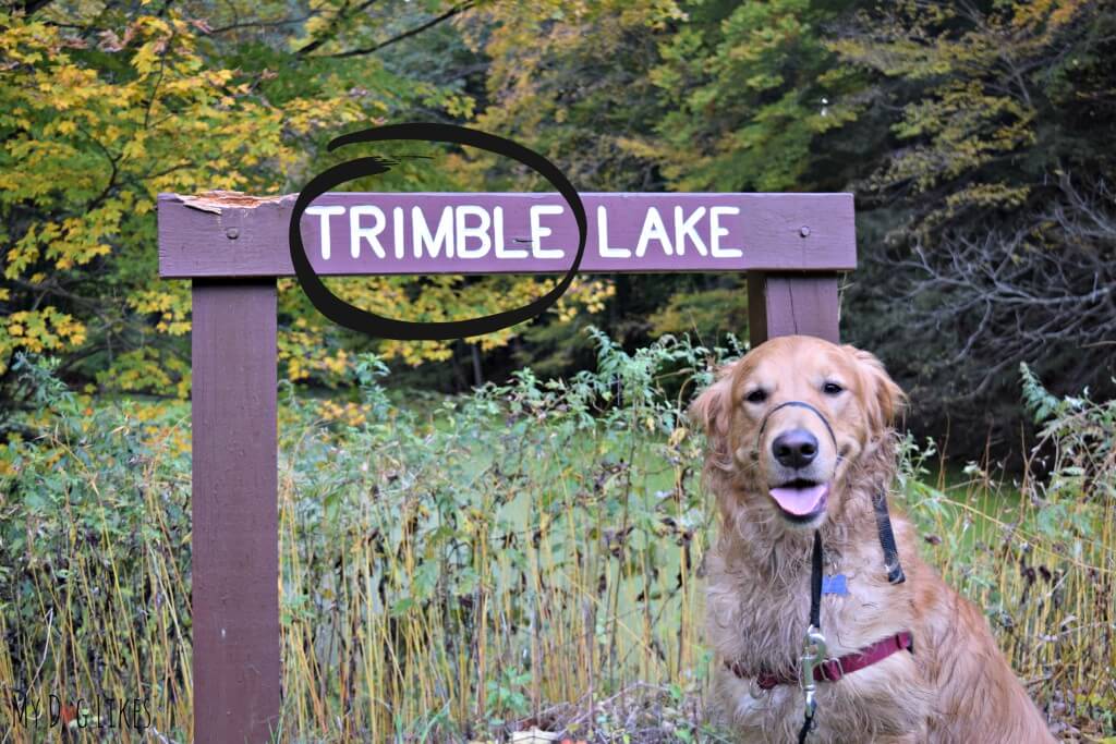 Trimble Lake at Durand Eastman Park near Rochester, NY