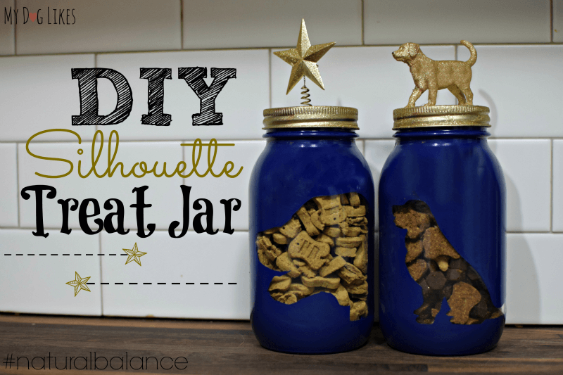 How to make a DIY Dog Treat Jar from MyDogLikes!
