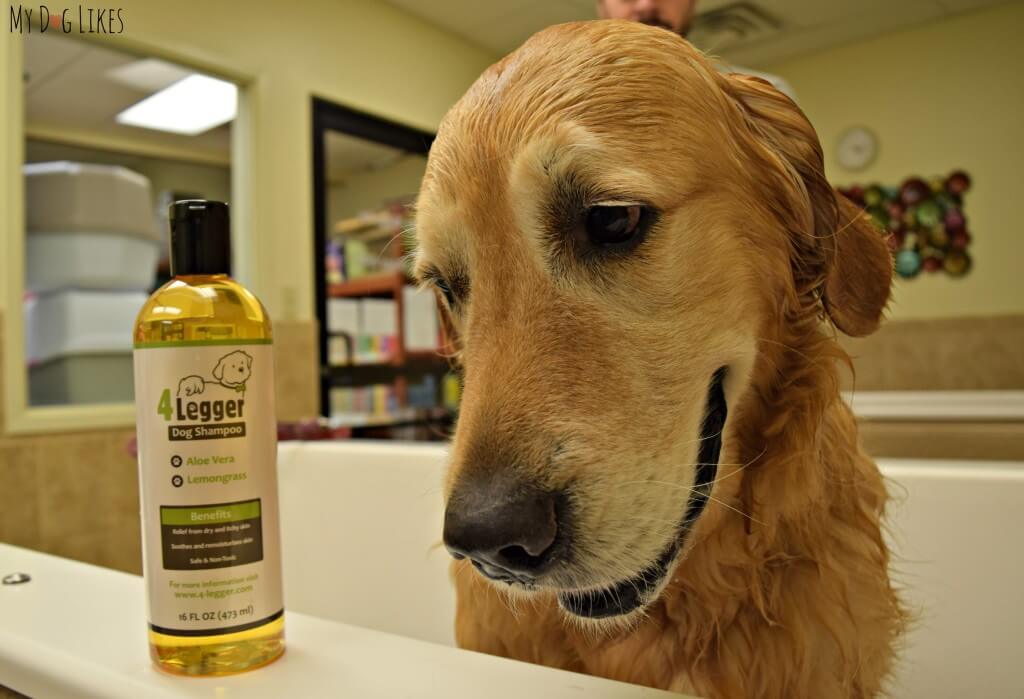 MyDogLikes reviews 4-Legger's Organic Dog Shampoo.