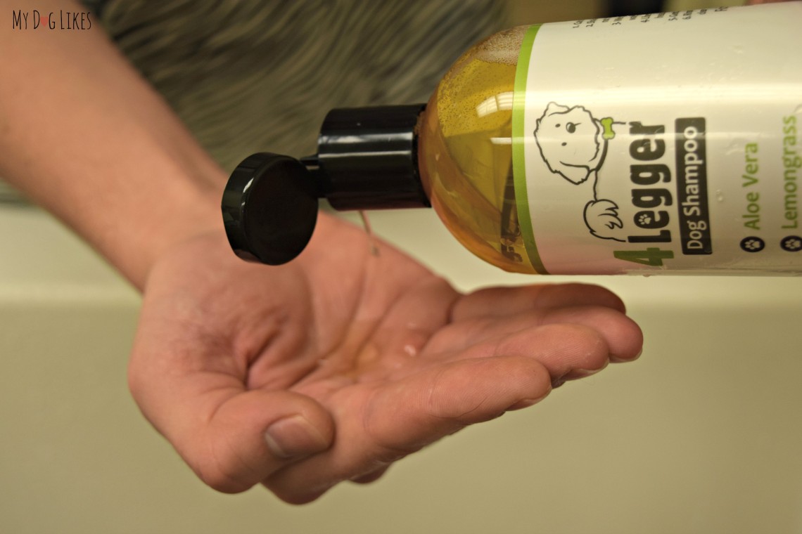 Making DIY Dog Grooming Wipes Perfect for on the Go!