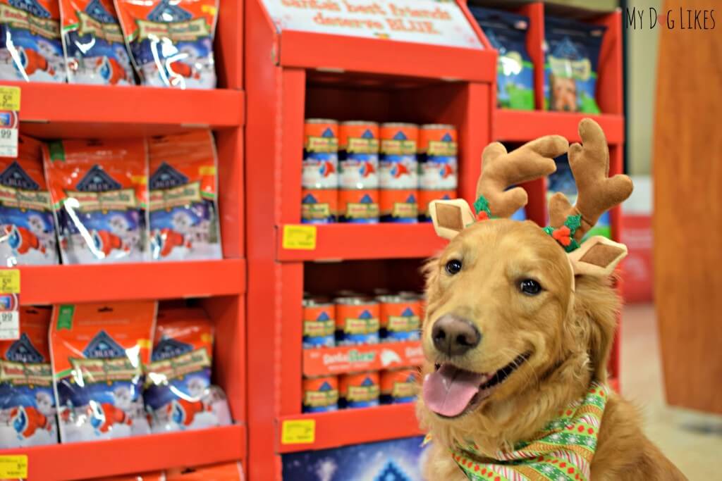 Charlie in front of the BLUE Buffalo display at PetSmart