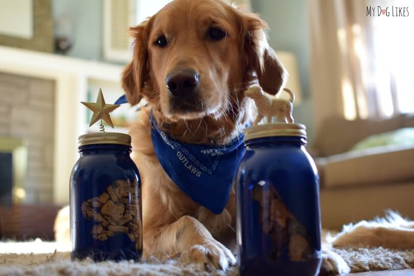 These Dog Treat Jars are a great gift idea for dog lovers!