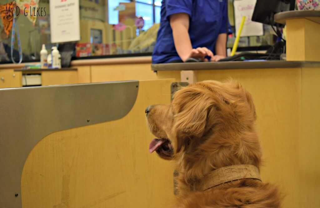 We were very impressed with the PetSmart grooming prices and the quality of services we received. Click here to read the official MyDogLikes review!