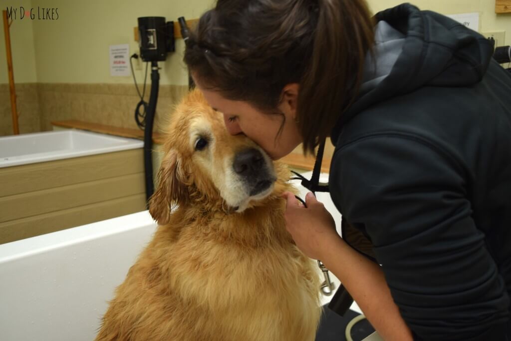 Harley getting a Dog Kiss for good behavior in the dog bath!