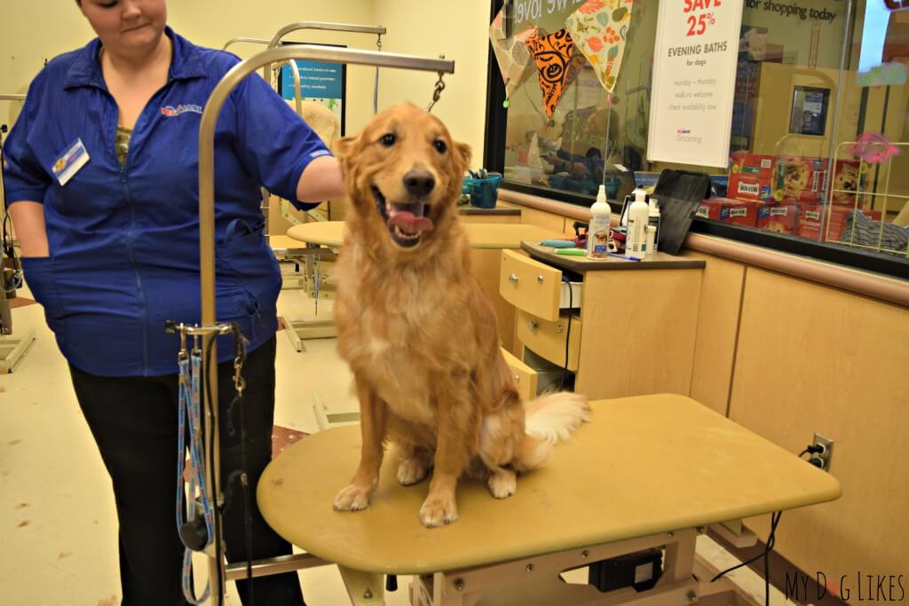 Charlie from MyDogLikes visits PetSmart Dog Grooming to weigh in on their skills, services and convenience!