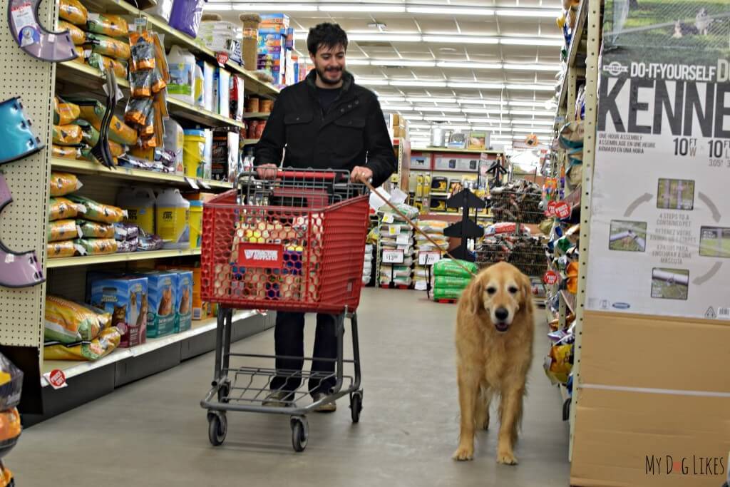 Shopping at Tractor Supply in Macedon, NY