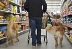 Shopping at Tractor Supply with Dogs