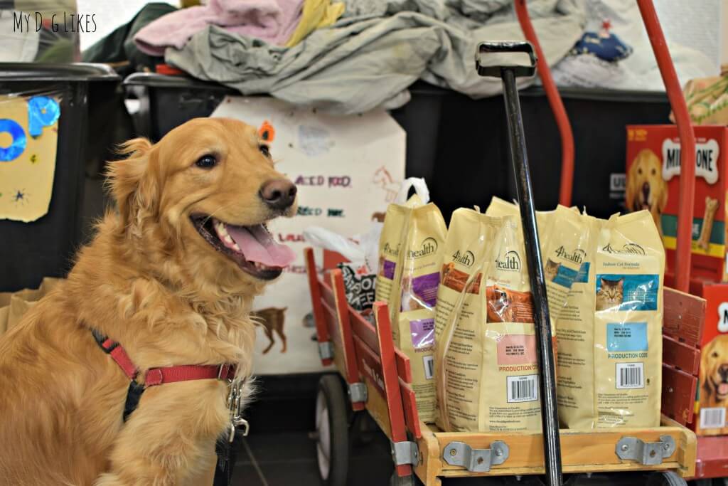 4Health dog food is available at your local Tractor Supply