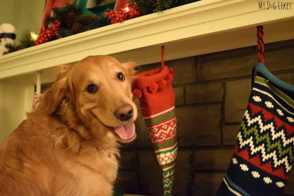 Charlie hanging the stockings!