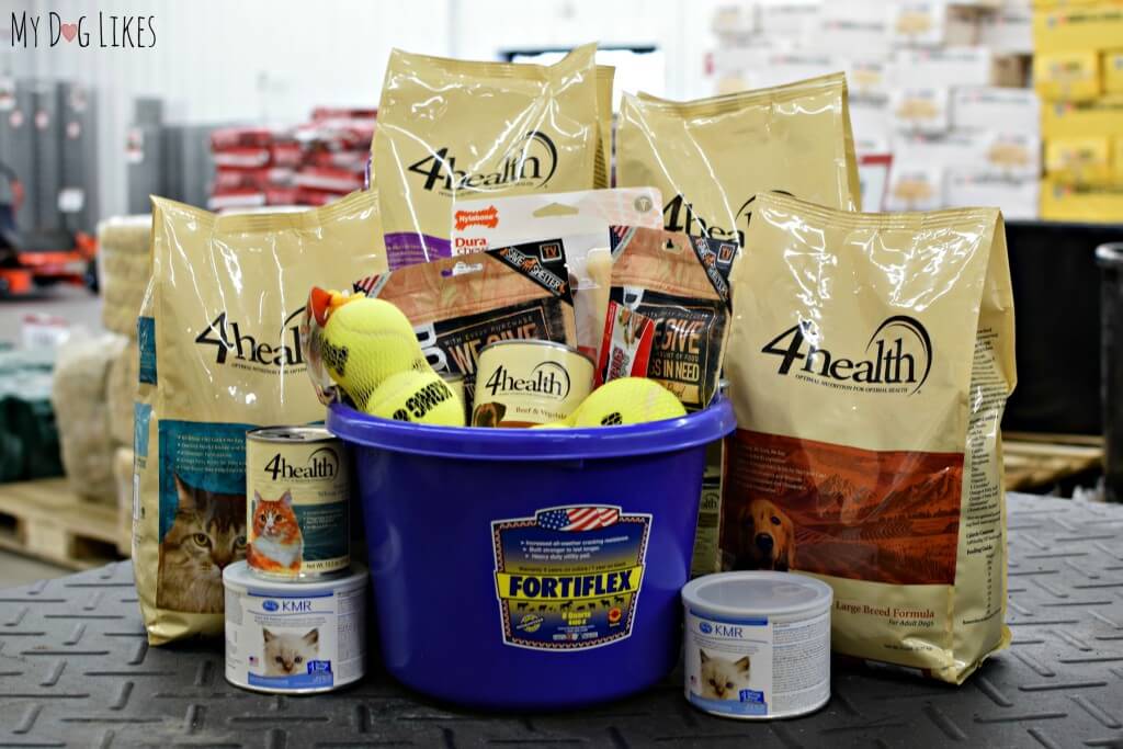 Our donation to Lollypop Farm included plenty of great 4Health food and treats for the shelter pets