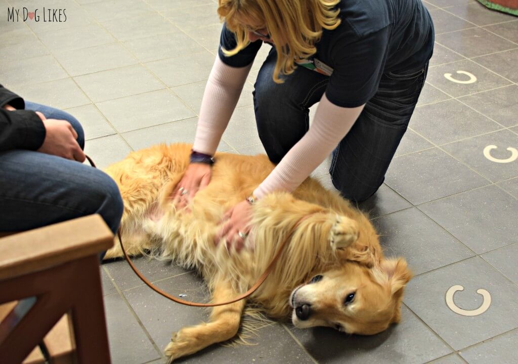 Taking time for some extra belly rubs