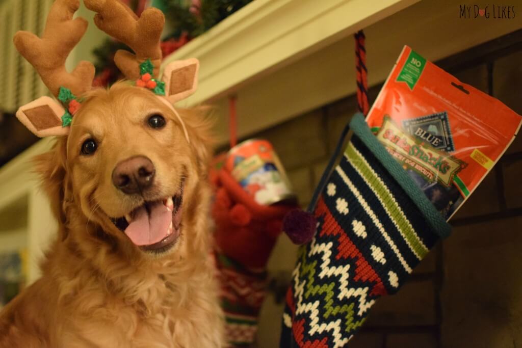Blue Buffalo Santa Snacks make perfect Stocking Stuffers for Dogs