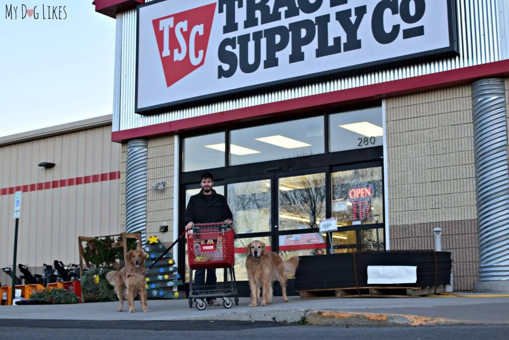 Shopping with the dogs at our local Tractor Supply store