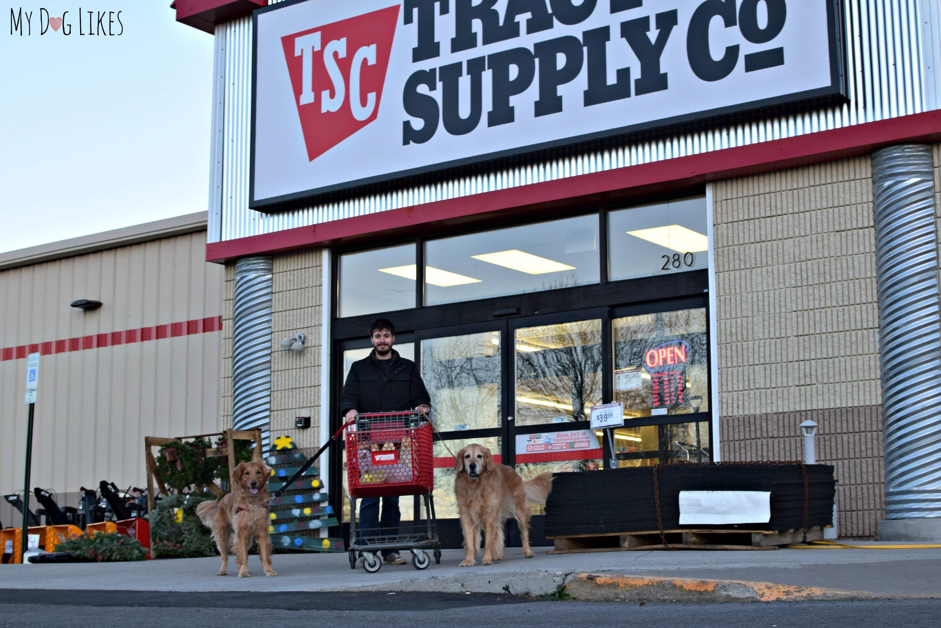 Tractor supply outlet allow dogs