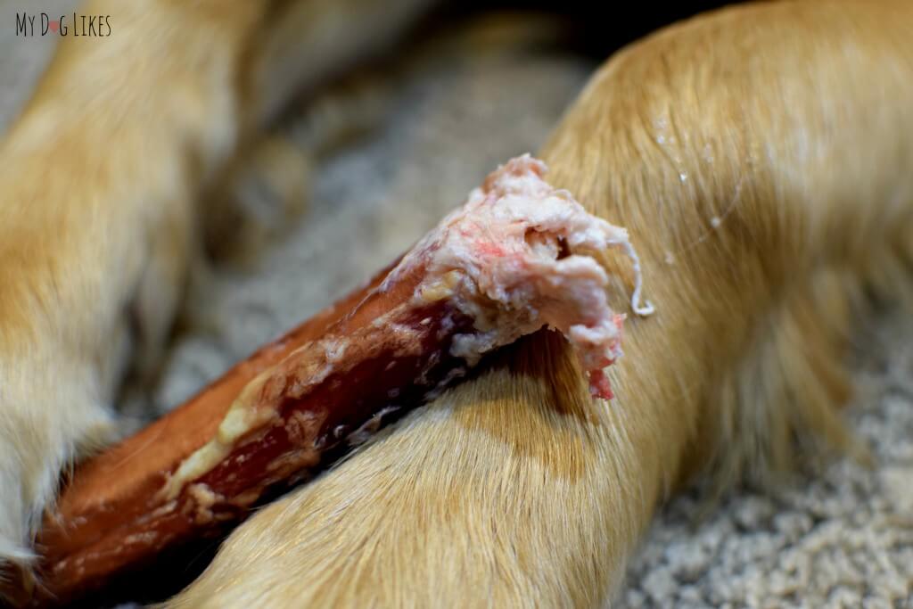 Looking for long lasting dog chews? Bully Sticks are a great natural alternative to rawhide.