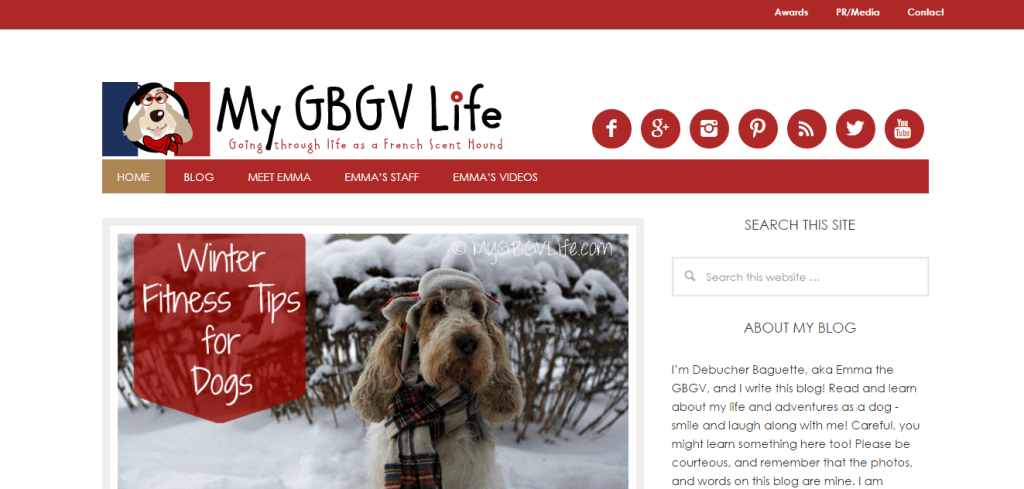 Screenshot from MyGBGVLife - one of our favorite dog blogs!