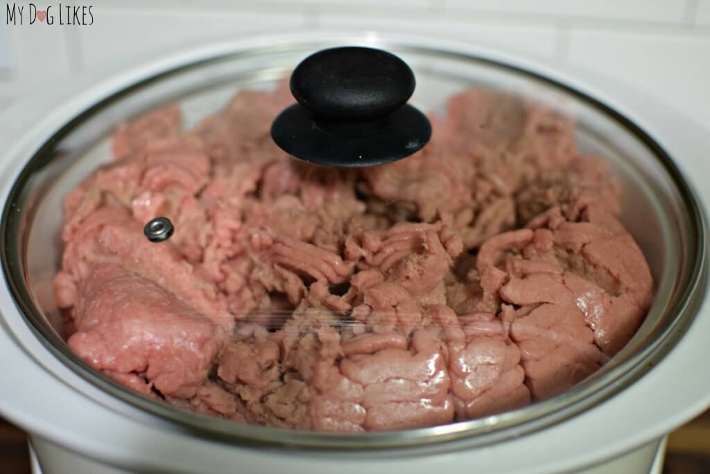 Cooking the dog's meat in a crockpot.
