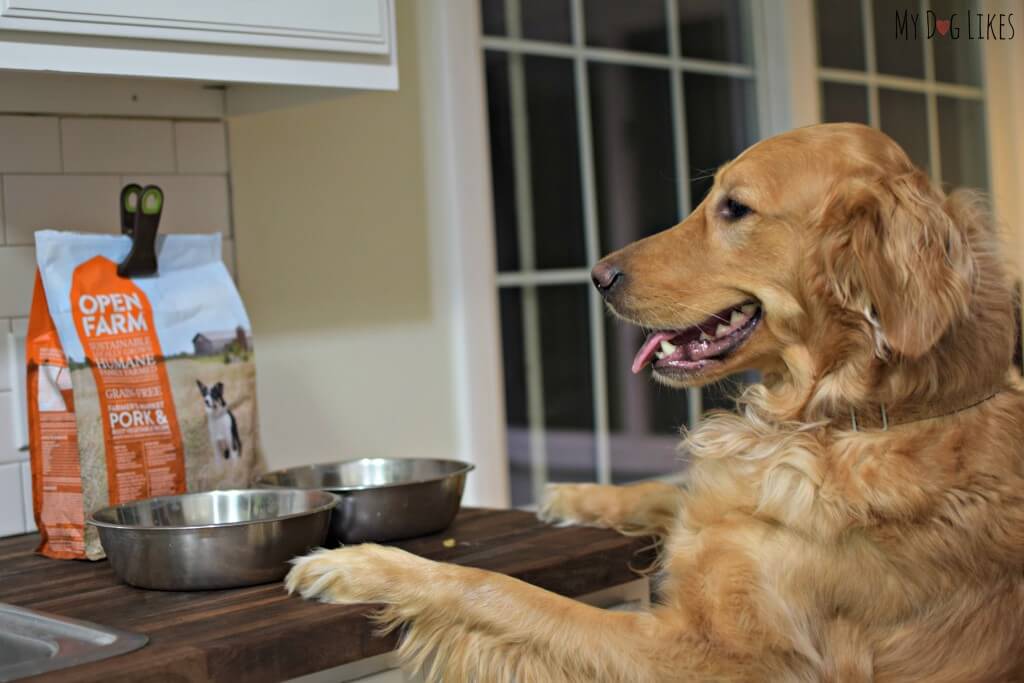 Looking for dog food reviews? Check out MyDogLikes review of Open Farm!