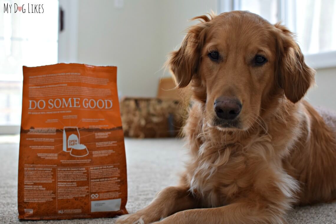 Open Farm Dog Food Review Sustainable and Ethically Sourced