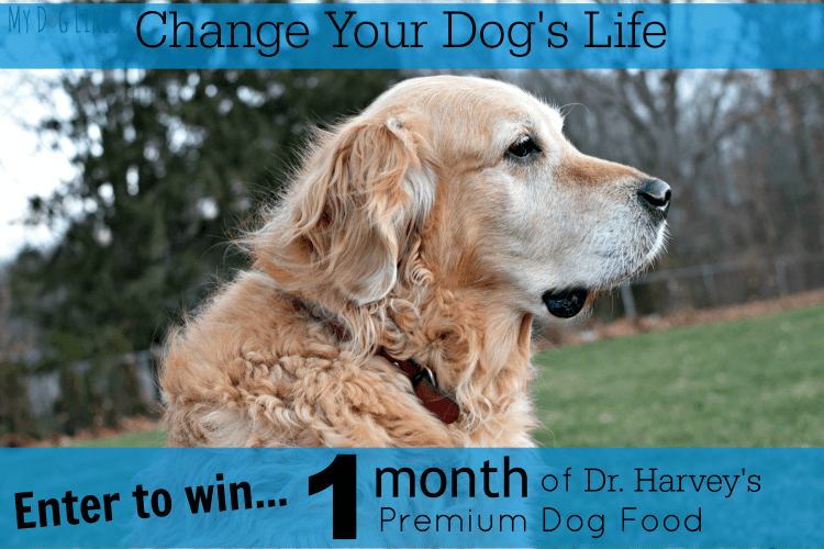 Enter to win a month's supple of Dr. Harvey's Premium Dog Food!