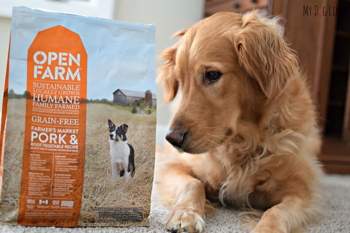 Open Farm Dog Food Review Sustainable and Ethically Sourced