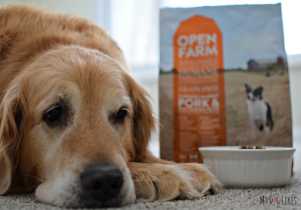 Open farm dog food hot sale petsmart