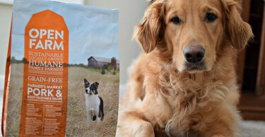 Open Farm Dog Food Review