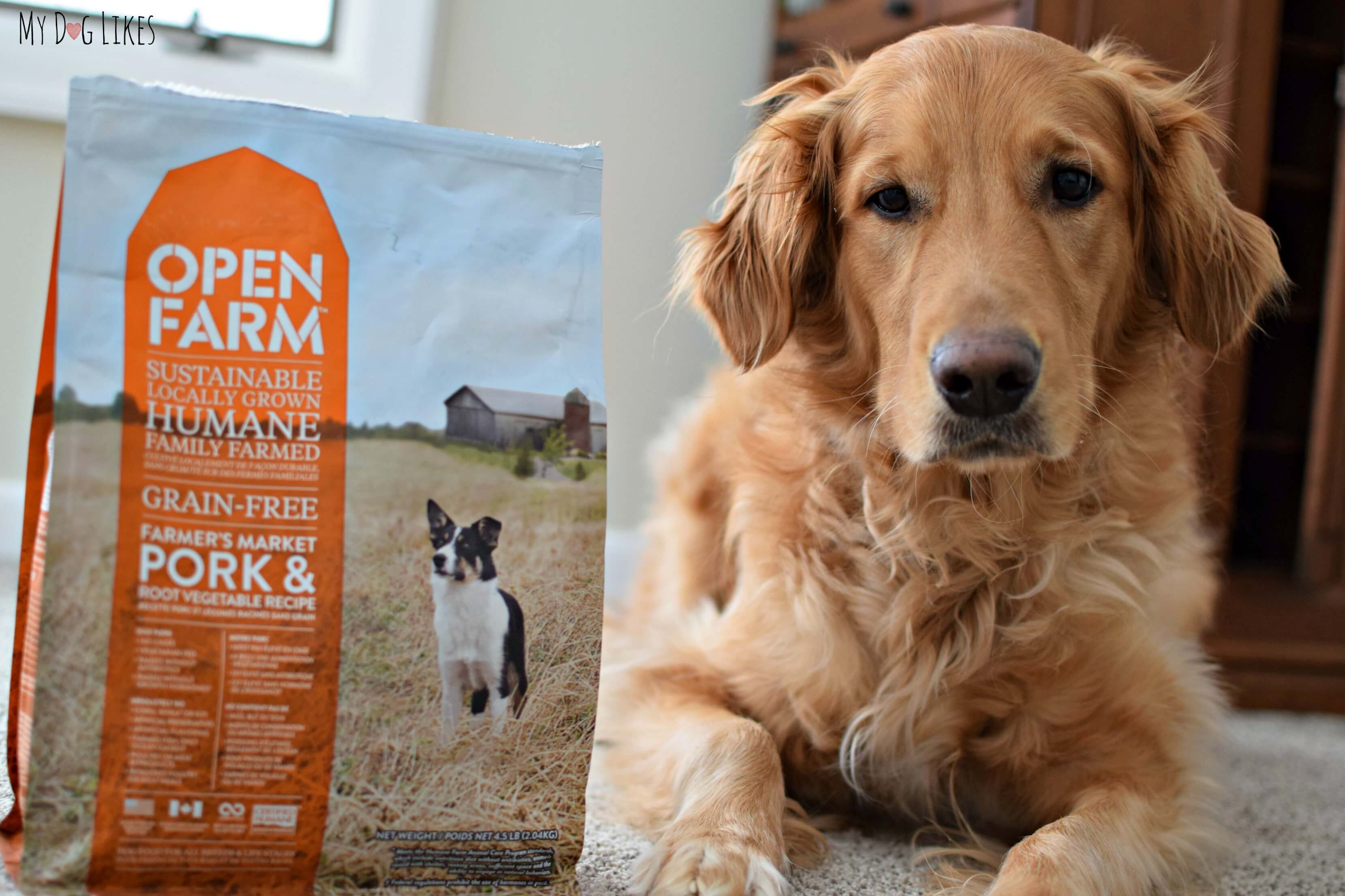 Open Farm Dog Food Review MyDogLikes