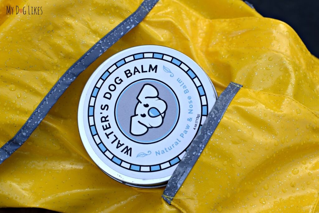 Protect your dog from the elements with Walter's Dog Balm!