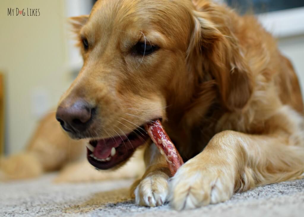 Wondering what are bully sticks? Click here to find out and also why Raw Paws Pet Food is the place to get them!