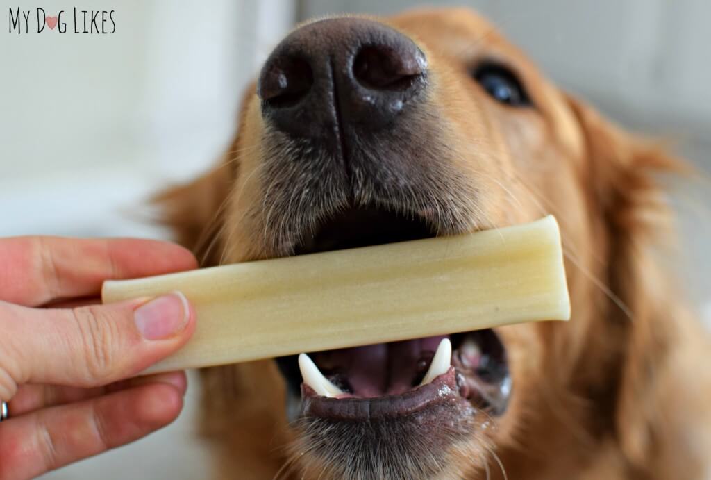 MyDogLikes reviews OzPure's dental chews for dogs.