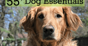 Getting a dog? Browse MyDogLikes Ultimate List of Dog Essentials!